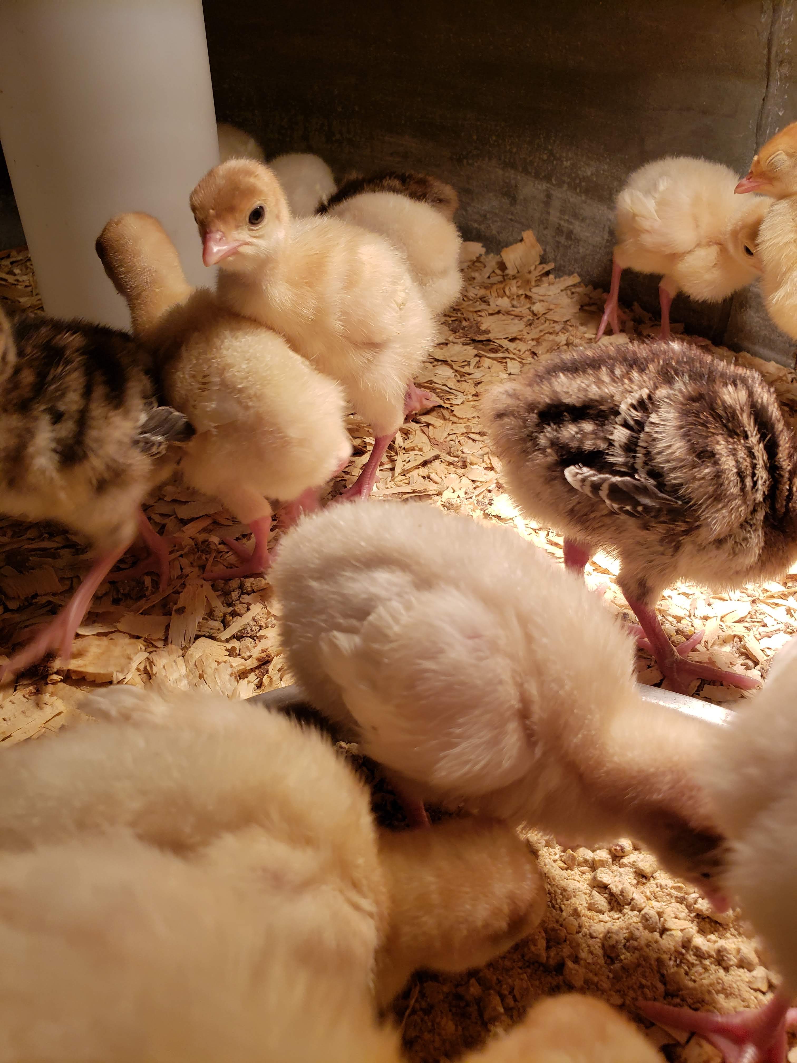 Wisconsin produce and farm goods